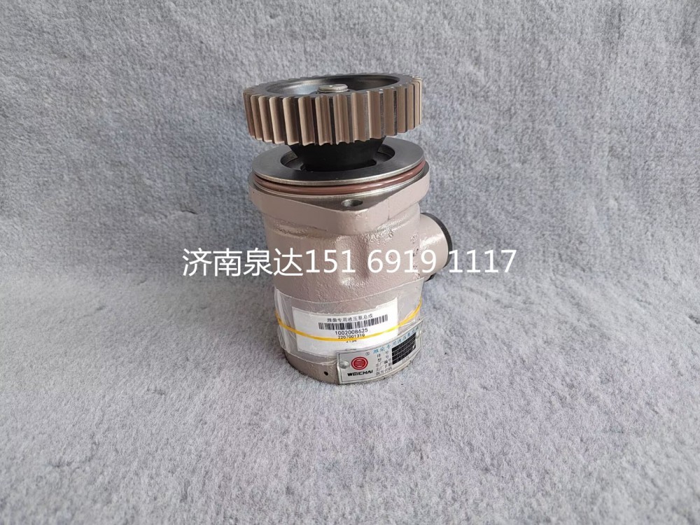 濰柴WP7發(fā)動機液壓泵轉向泵助力泵葉片泵轉子泵/1002008625
