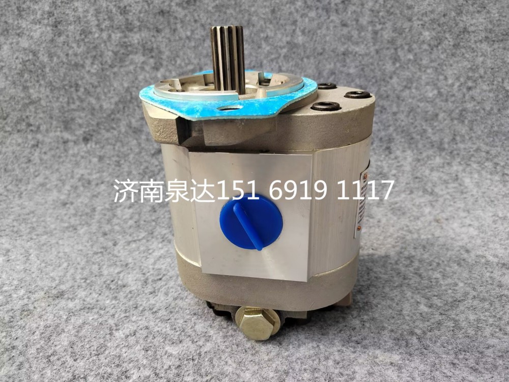 三一起重機吊車轉向齒輪油泵轉向泵助力泵液壓泵/QC40/17-HR-SY