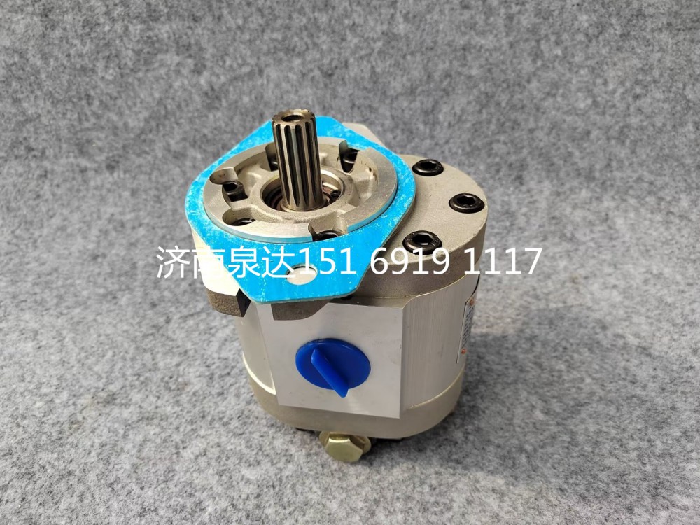 三一起重機吊車轉向齒輪油泵轉向泵助力泵液壓泵/QC40/17-HR-SY