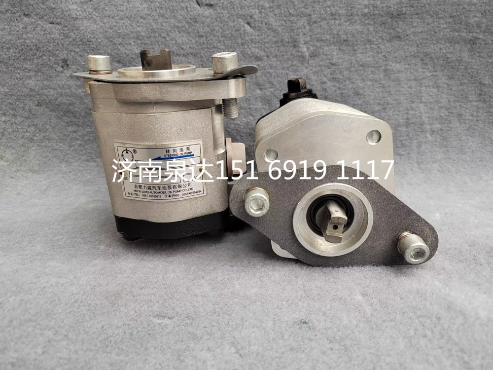 合肥力威天力方向助力泵轉向泵液壓油泵葉片泵齒輪油泵/TG25074711925