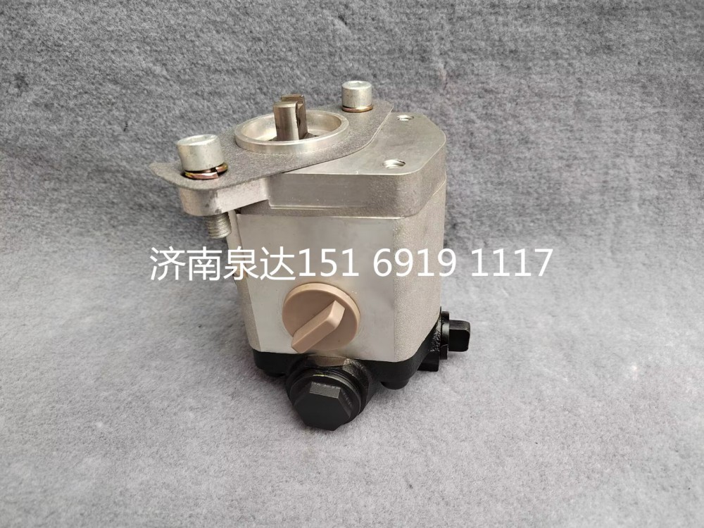 合肥力威天力方向助力泵轉向泵液壓油泵葉片泵齒輪油泵/TG25074711925