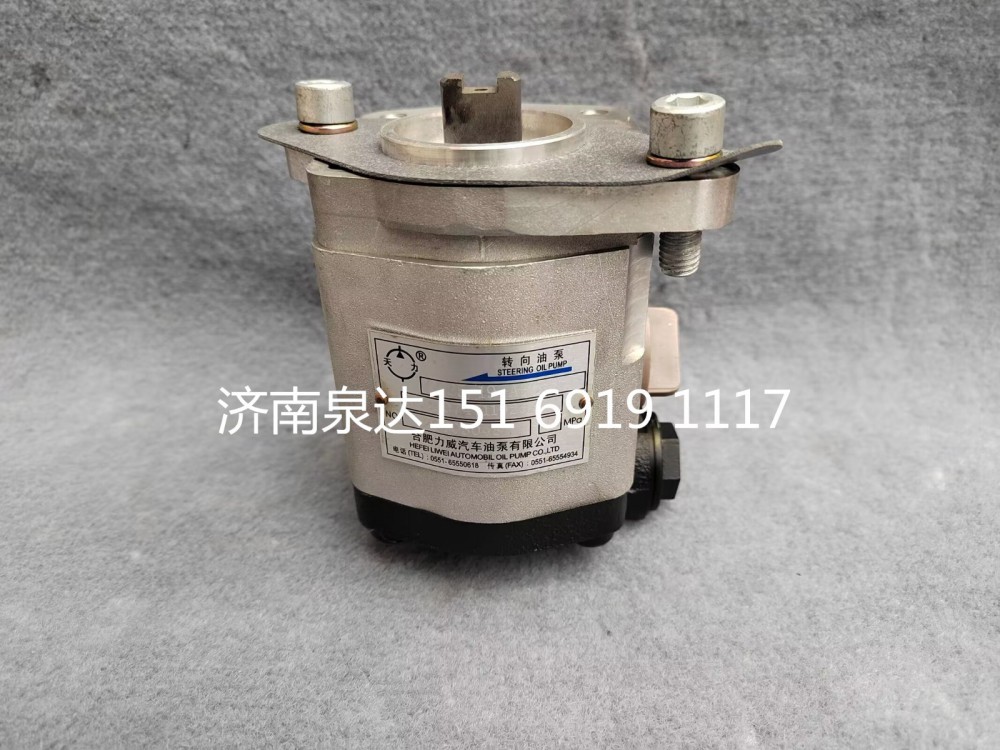 合肥力威天力方向助力泵轉向泵液壓油泵葉片泵齒輪油泵/TG25074711925