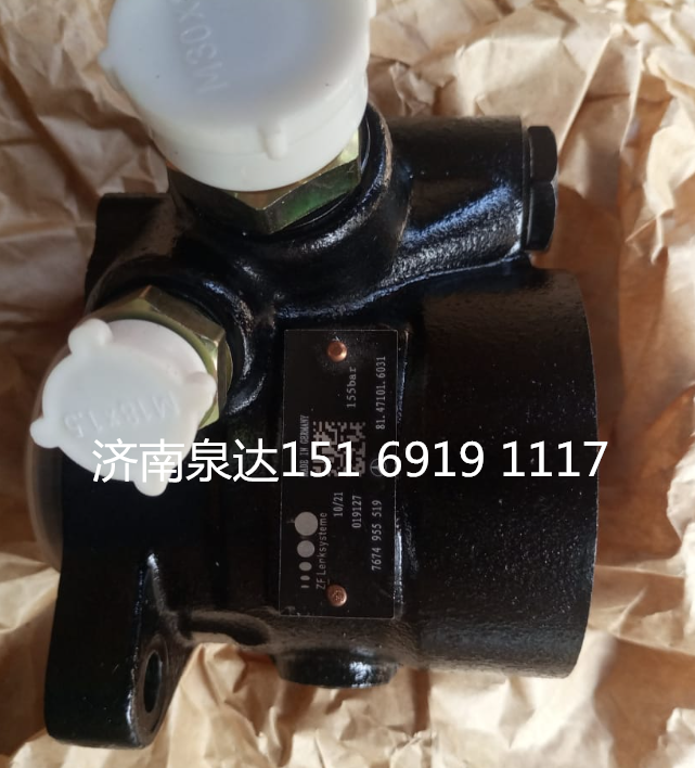 奔馳卡車動力轉向油泵轉向泵助力泵液壓泵葉片泵/7674955519