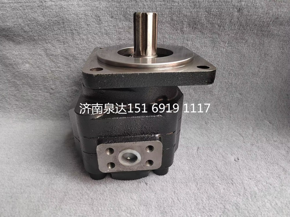 重汽豪威碼頭車牽引車齒輪泵總成液壓齒輪油泵/TG53717300200