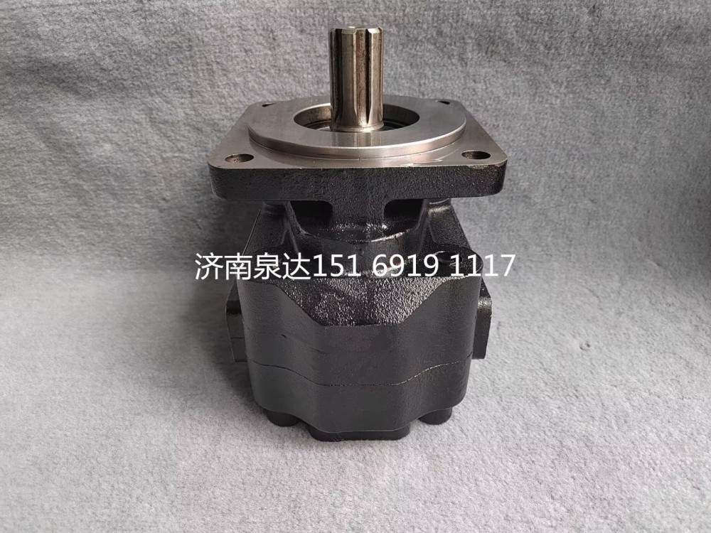 重汽豪威碼頭車牽引車齒輪泵總成液壓齒輪油泵/TG53717300200