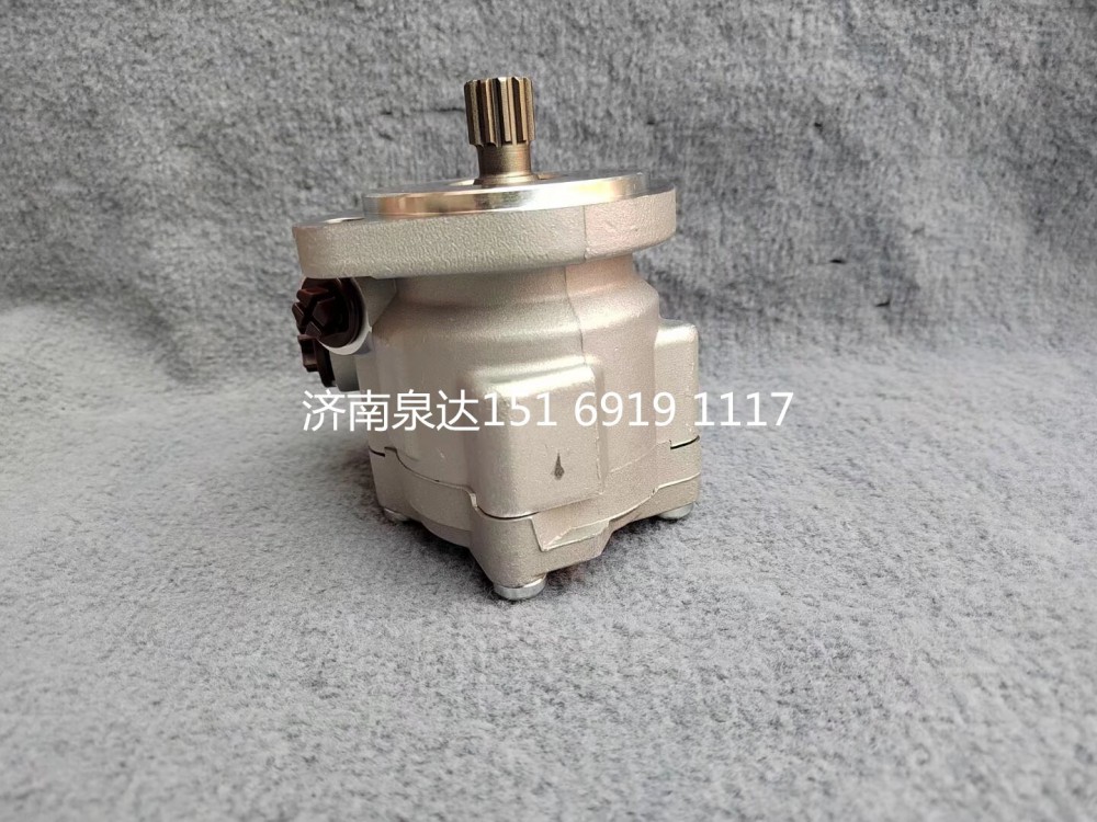 150105010024A,轉向助力泵,濟南泉達汽配有限公司