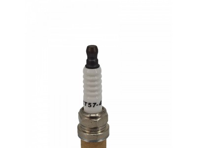 火炬 鉑金火花塞 ZT57-4 適配于LNG天然氣商用車發動機