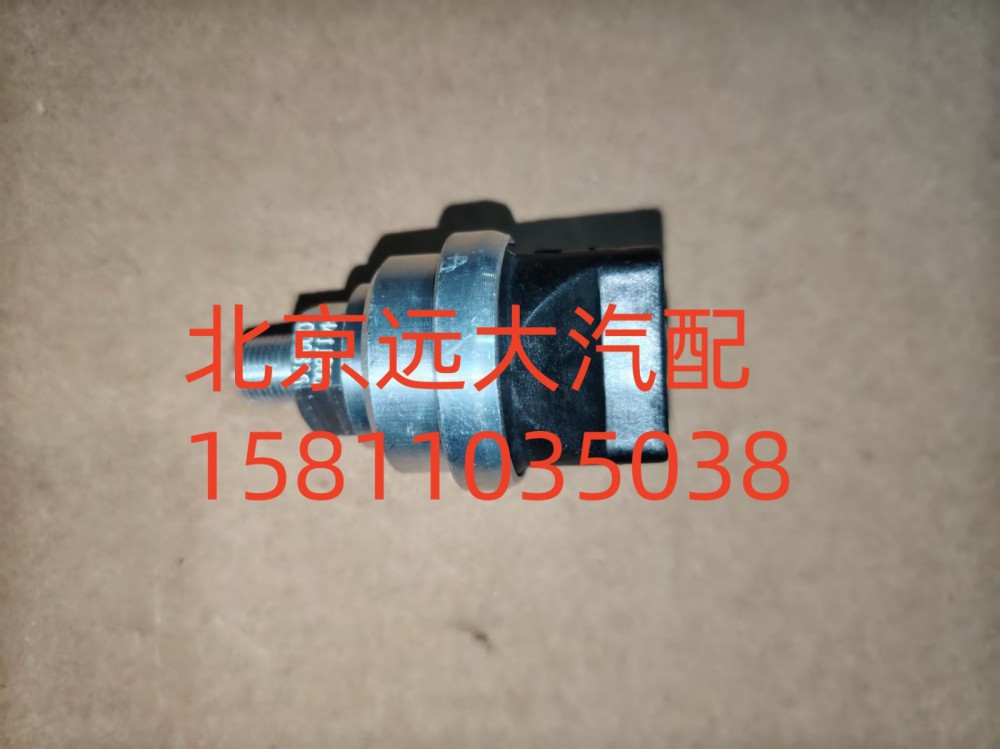 空濾器堵塞報警燈開關(guān)FH411900000316A1259/FH411900000316A1259