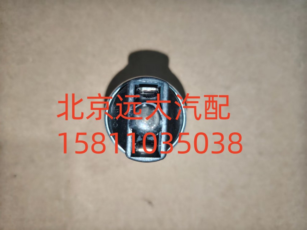 空濾器堵塞報警燈開關(guān)FH411900000316A1259/FH411900000316A1259