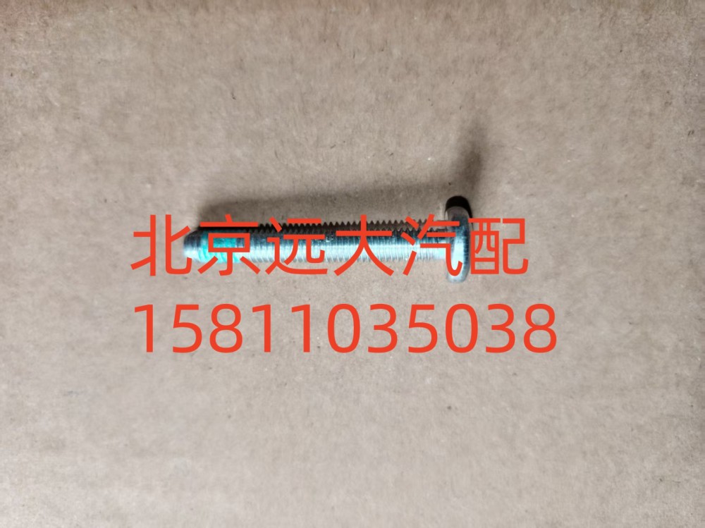 梅花螺栓S0736.300.659W0077/S0736.300.659W0077