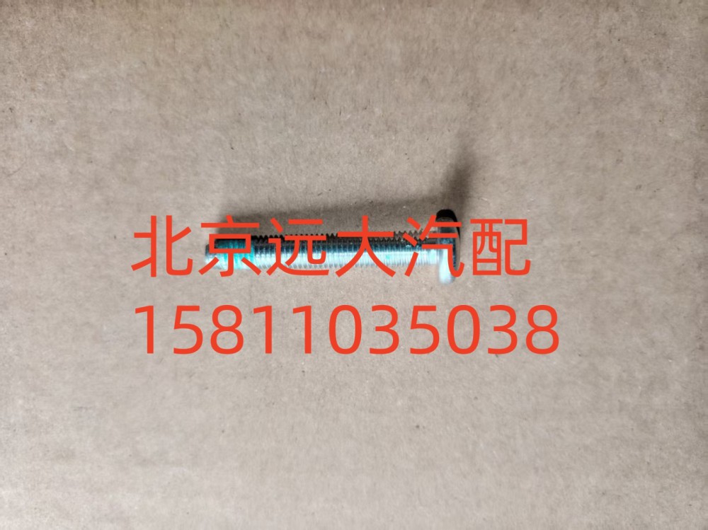梅花螺栓S0736.300.659W0077/S0736.300.659W0077