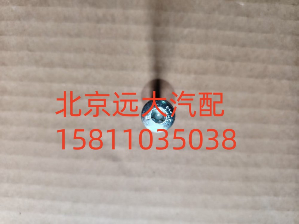 梅花螺栓S0736.300.659W0077/S0736.300.659W0077