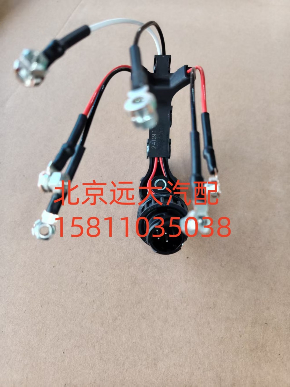 線束S5417169A2080/S5417169A2080