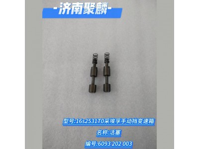 活塞 6093 202 003