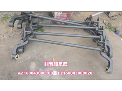 AZ160043000100通 EZ160043000028 翻轉軸
