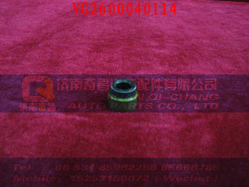 VG2600040114,內照明燈(左),濟南奇昌汽車配件有限公司
