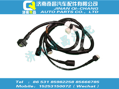 az9122770206,王牌配件 王牌11版前圍電線束（新內飾）,濟南奇昌汽車配件有限公司