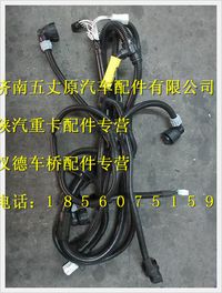 陜汽德龍F3000左前部線束