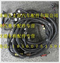 陜汽德龍M3000發(fā)動(dòng)機(jī)、變速器底盤(pán)電線束