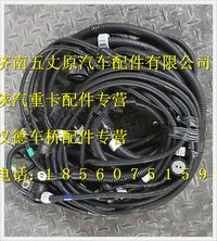 陜汽德龍M3000發(fā)動(dòng)機(jī)、變速器底盤(pán)線束