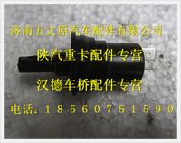陜汽德龍奧龍門燈開關