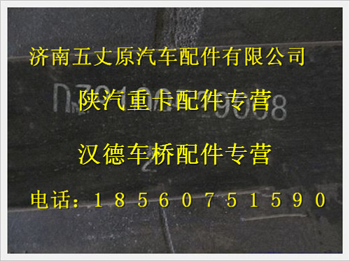 陜汽德龍奧龍前二片/PDZ910052900802