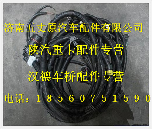 陜汽德龍底盤線束（一）/DZ93319774009