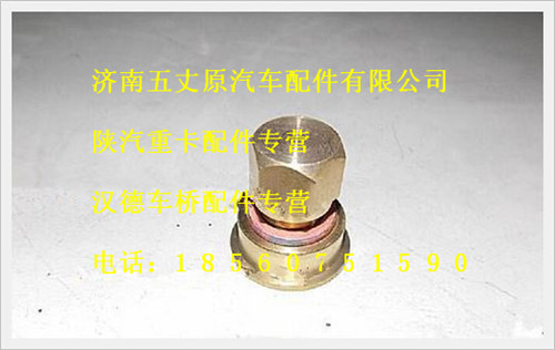 陜汽德龍散熱器放水螺堵/SX-1301075