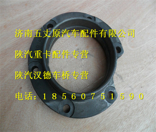 陜汽德龍F(tuán)2000后橋軸承座/199014320141