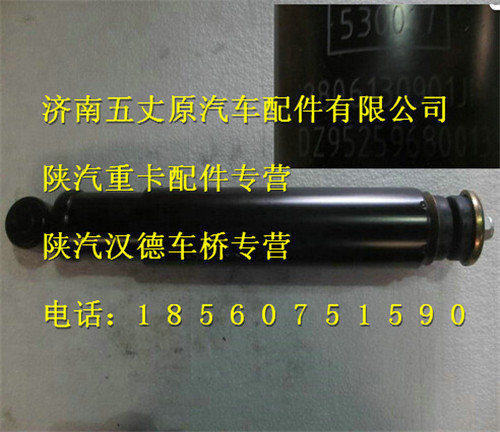 陜汽德龍F3000減振器總成/DZ95259680013