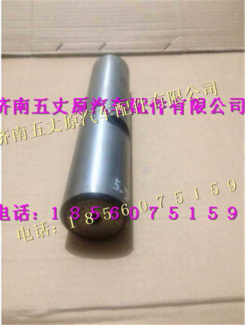 陜汽德龍新M3000轉向節(jié)主銷/DZ9100410331L01