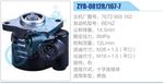 轉向液壓油泵總成/轉向泵總成/助力泵總成