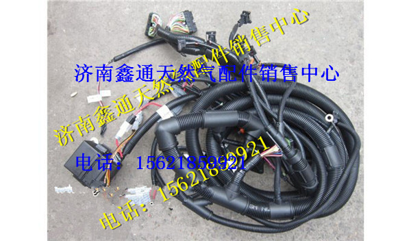 T88-056-03a,上柴天然氣發(fā)動機(jī)線束,濟(jì)南鑫通天然氣銷售中心