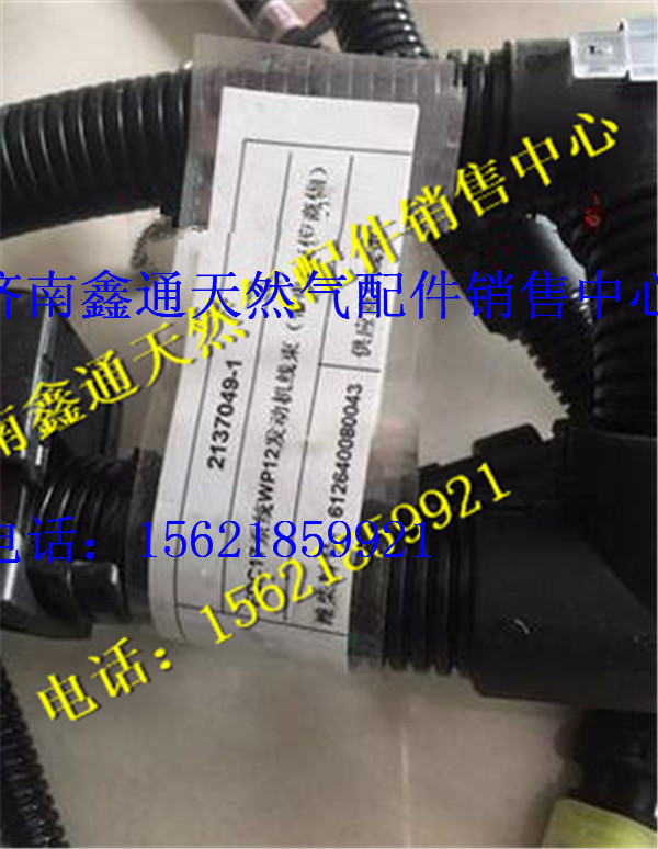 612640080043,濰柴WP12發(fā)動機(jī)線束總成,濟(jì)南鑫通天然氣銷售中心