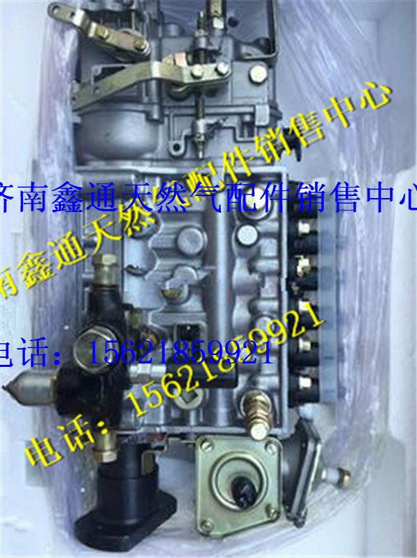 612600081135,濰柴發動機噴油泵,濟南鑫通天然氣銷售中心