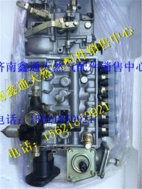 612600081135,濰柴發動機噴油泵,濟南鑫通天然氣銷售中心