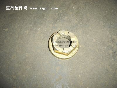 79000320013A,79000320013A.凸緣螺母(貫通軸),濟南港新貿易有限公司
